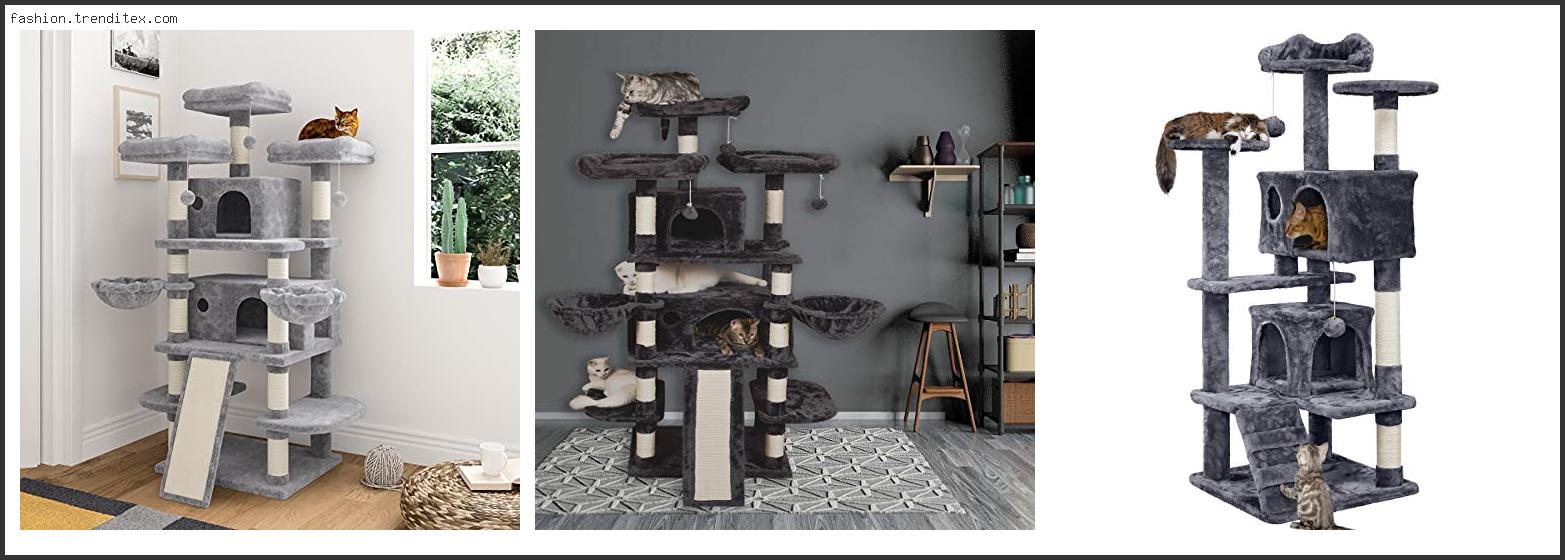 Best Luxury Biggest Cat Tree