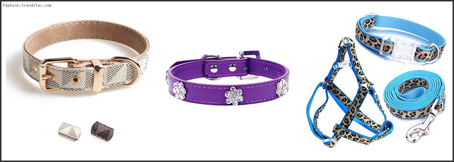 Best High Fashion Dog Collar