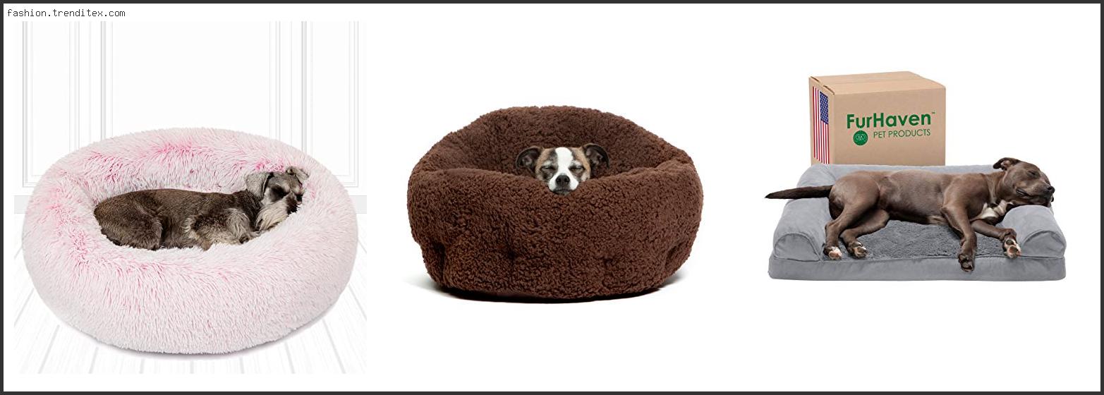 Best Fashionable Dog Beds