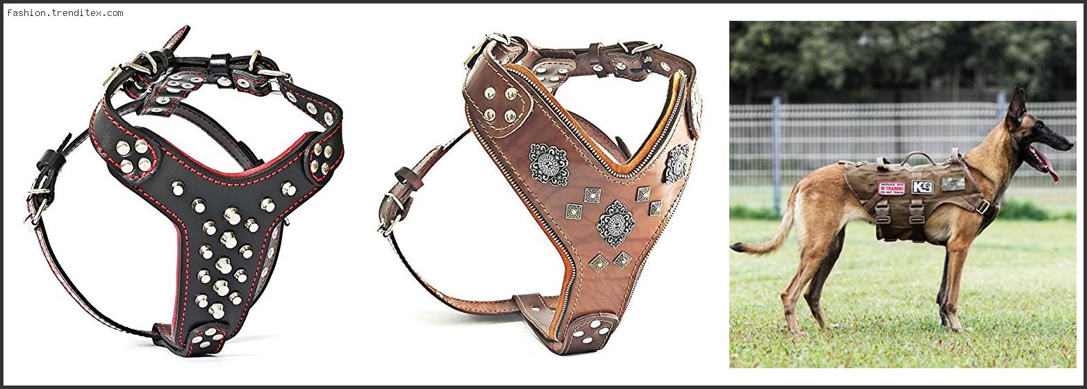 Best Handmade Dog Harness