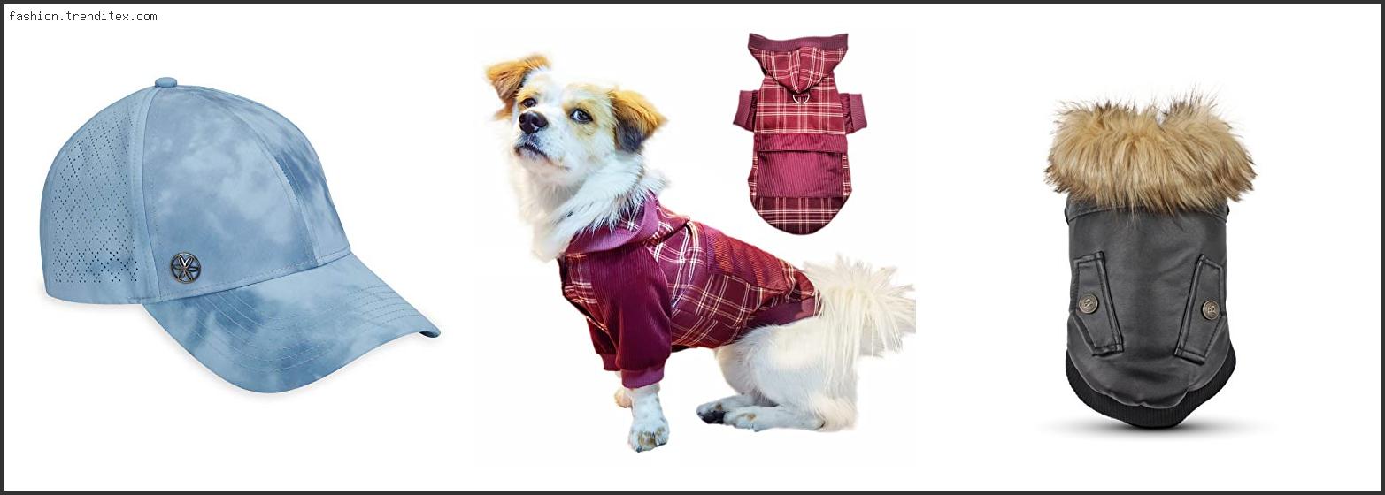 Best Fashionable Dog Clothing