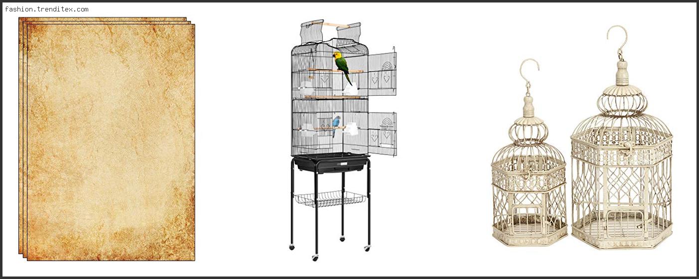 Best Old Fashioned Vintage Bird Cage