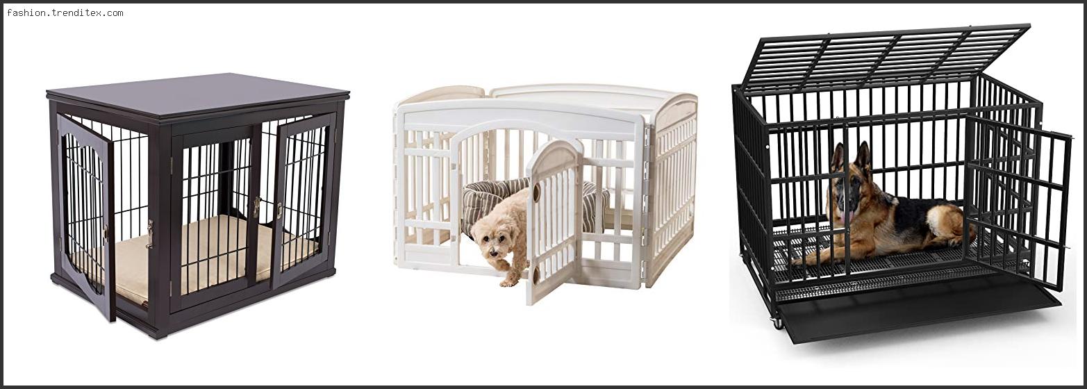 Best Luxury Dog Kennel Designs