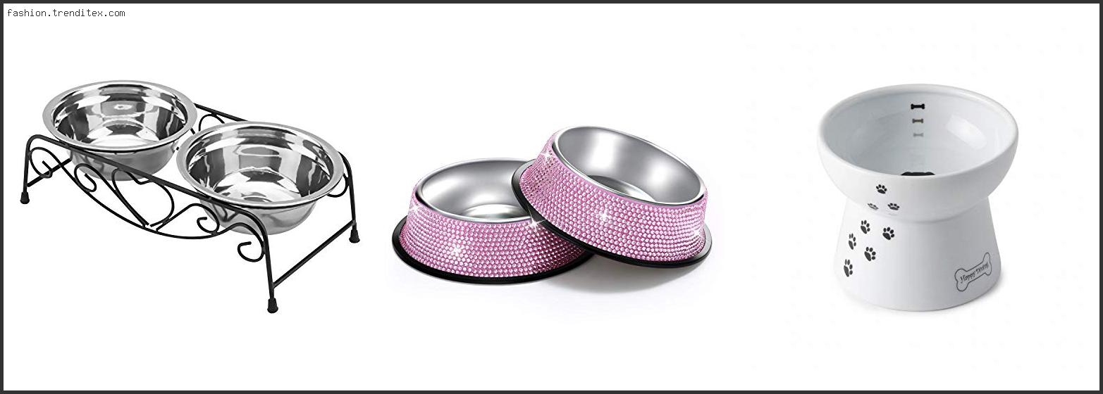 Best Luxury Dog Food Bowls