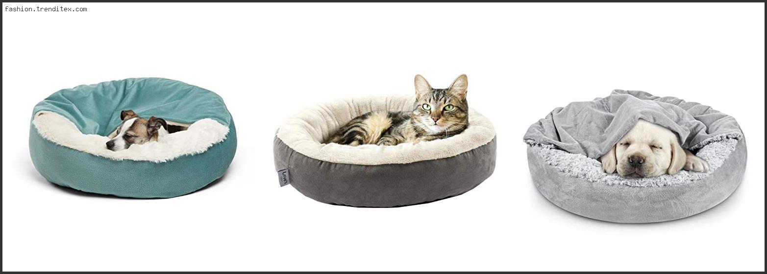 Best Luxury Comfort Cat Bed