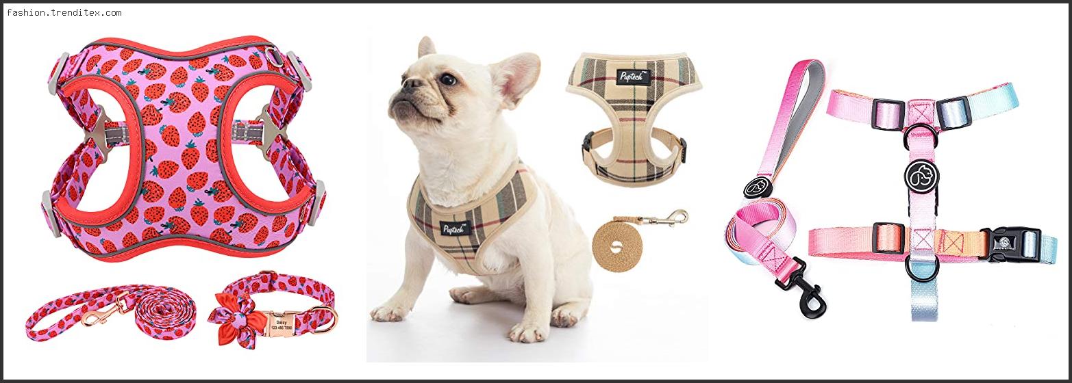 Best Fashionable Dog Harness