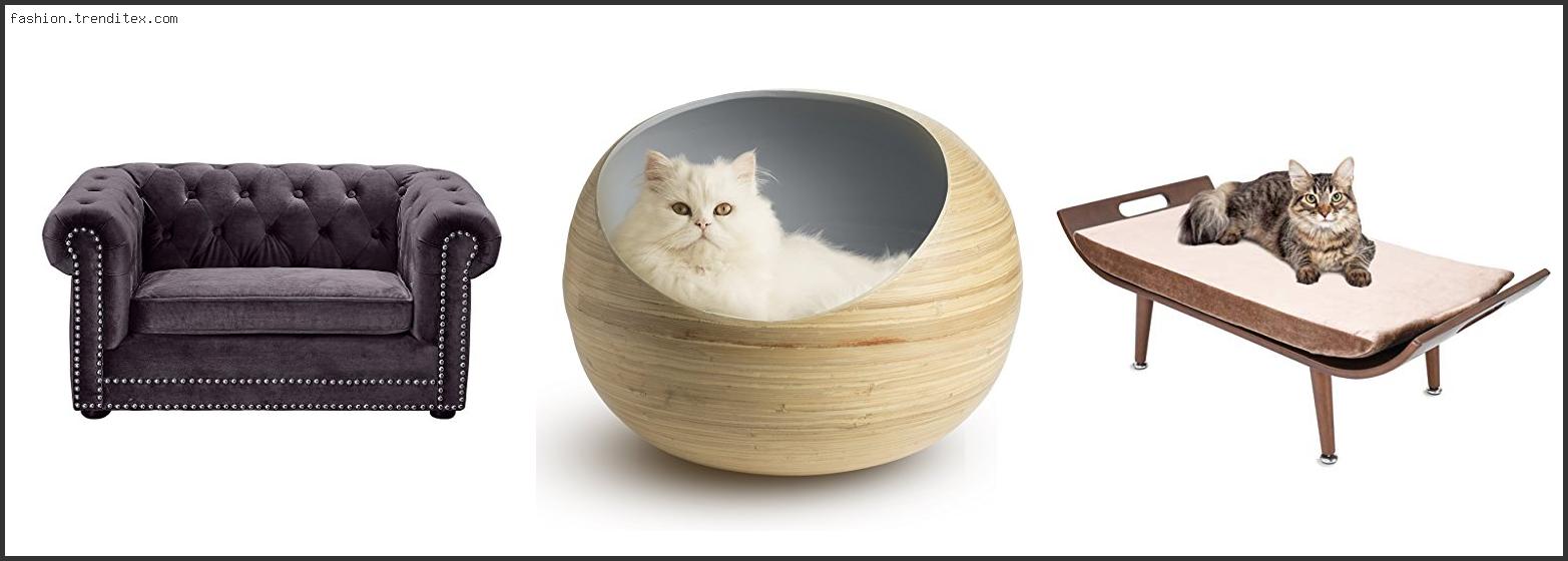 Best Modern Luxury Cat Bed